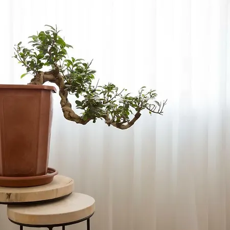 Ceuta Residences - 1 By We Do Living Oporto