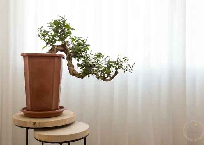 Ceuta Residences - 1 By We Do Living Porto